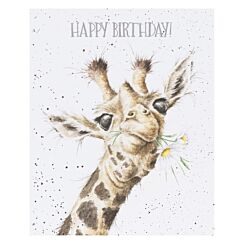 ‘Birthday Flowers’ Giraffe Birthday Card