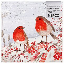 Robins On Branch Pack of 6 Christmas Cards Charity Pack