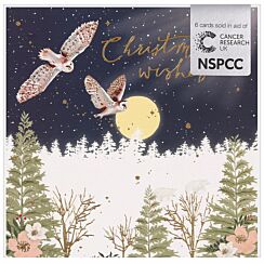 Owls Pack of 6 Christmas Cards Charity Pack