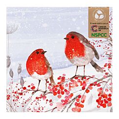 Robins On Branch Pack of 6 Christmas Cards Charity Pack