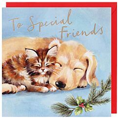 Reflections Cat & Dog ‘Special Friends’ Christmas Card