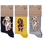 Dog Set Of Three Women’s Bamboo Socks