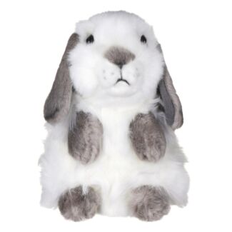 Lop Eared Rabbit Grey