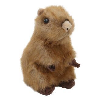 Sitting Capybara Pup