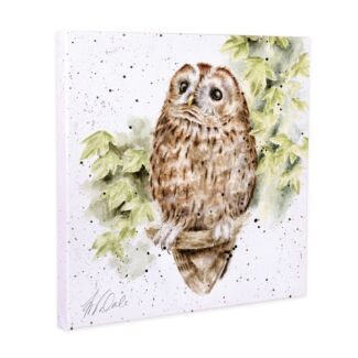 ‘Treetops’ Owl Small Canvas