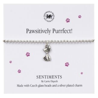 ‘Pawsitively Purrfect’ Sentiment Bracelet