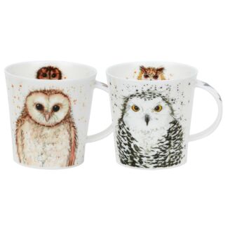 What A Hoot! Cairngorm Set of 2 Mugs