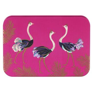 Ostriches Pocket Tin