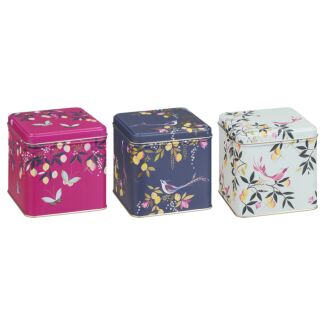 Orchard Set of Three Square Caddies