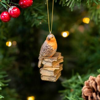 Assorted Robin/Blue Tit On Books Resin Tree Decoration