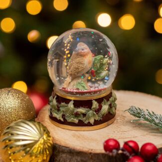 Robin Medium Snow Globe Decoration