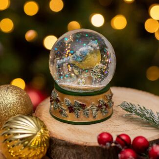 Bluetit Medium Snow Globe Decoration