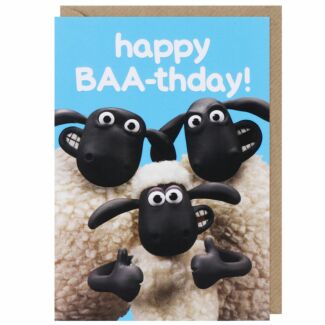 ‘Happy Baa-thday’ Birthday Card