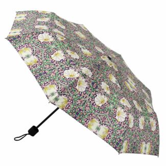 Pimpernel Umbrella