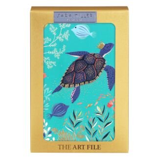 Turtles Set of 10 Notecards