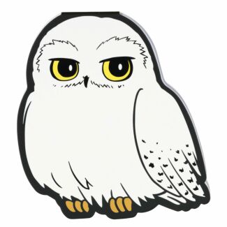 Hedwig Pocket Notepad