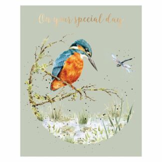 ‘Pond Dipping’ Kingfisher Birthday Card