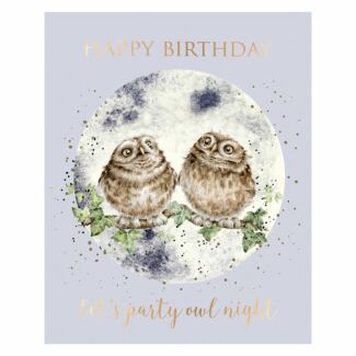 ‘Party Owl Night’ Owl Birthday Card