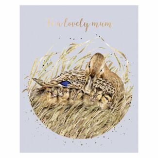 ‘Shelter From The Storm’ Duck Mum Greetings Card