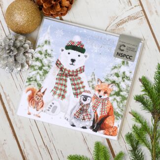 Animal Friends Pack Of 6 Christmas Cards Charity Pack