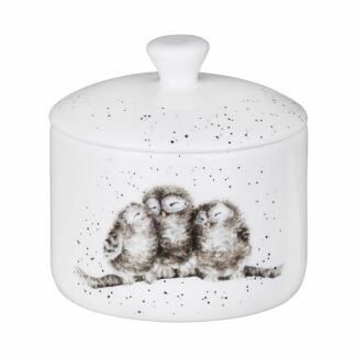 'Owlets' Owl Small Lidded Storage Jar