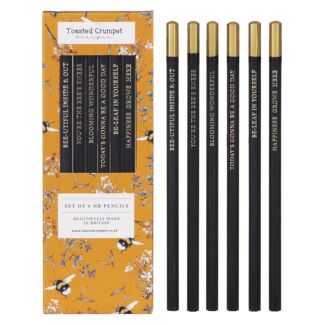 ‘Bee & Honeysuckle’ Set of 6 Pencils