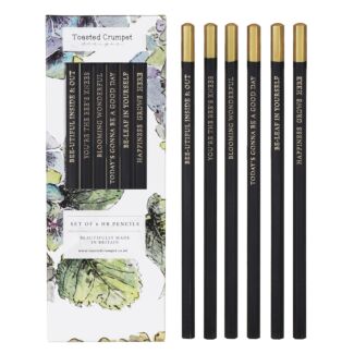 ‘Hydrangea’ Set of 6 Pencils