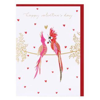 Pink Parrots Valentine’s Day Card