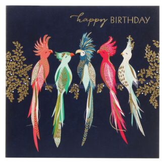 Cockatoos Birthday Card