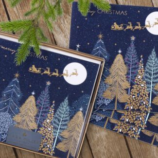 Sleigh Over Forest Box of 8 Luxury Christmas Cards 