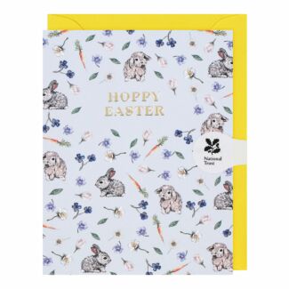 Hoppy Easter Mini Easter Card