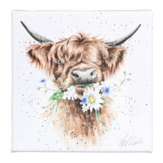 ‘Daisy Coo’ Small Canvas