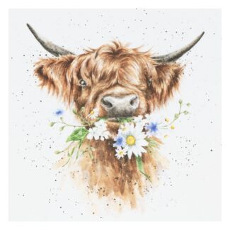 ‘Daisy Coo’ Cow Greetings Card