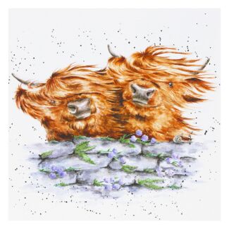 ‘Blown Away’ Highland Cow Greetings Card