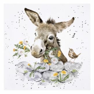 ‘Fine And Dandy’ Donkey Greetings Card