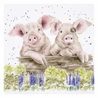 ‘Nosy Neigh-Boars’ Pigs Greetings Card