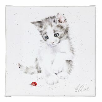 ‘Ladybird’ Kitten Small Canvas