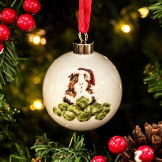 'Sprouts' Guinea Pig Christmas Bauble