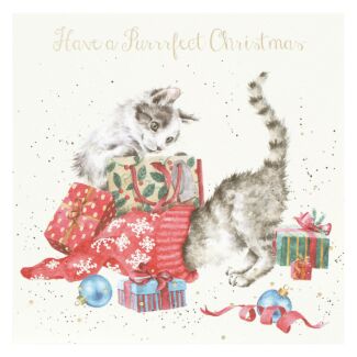 'A Purrrfect Christmas' Cats Christmas Card