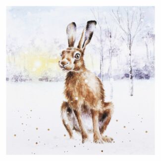 ‘Golden Hour’ Hare Christmas Card