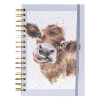 'Mooo' Cow Spiral Bound A5 Notebook