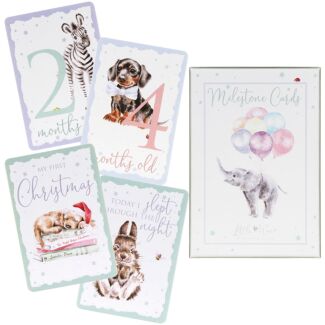 Baby Milestone Cards