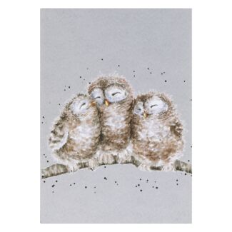 'Owlets' Owl A6 Notebook