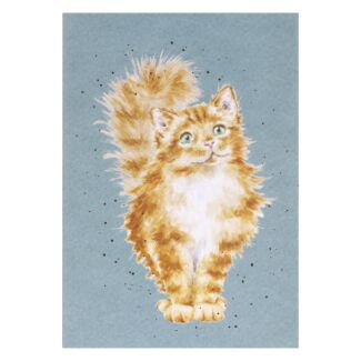 'Just Purr-fect' Cat A6 Notebook