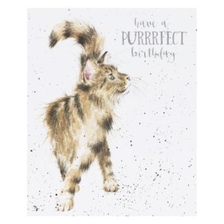 ‘Just Purrrfect’ Cat Birthday Card