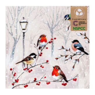 British Birds Pack of 6 Christmas Cards Charity Pack