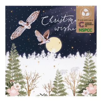 Owls Pack of 6 Christmas Cards Charity Pack