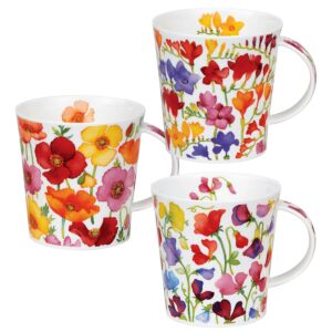 Floral Fiesta Lomond Set Of 3 Mugs