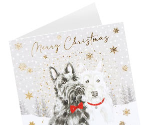 Browse All Christmas Charity Card Packs