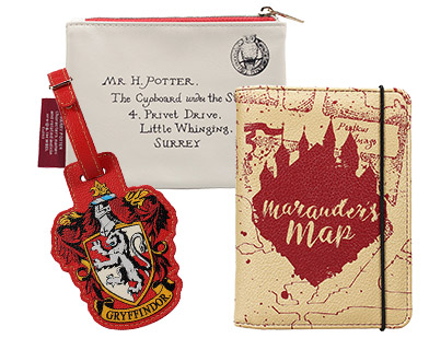 Harry Potter Fashion Accessories